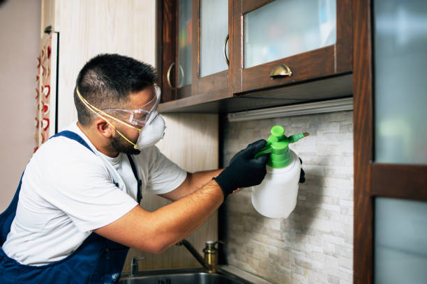 Best Termite Control Services  in Hillsboro, TX