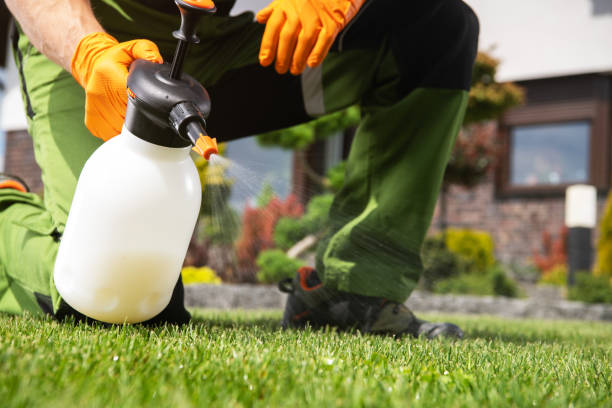 Best Residential Pest Control  in Hillsboro, TX