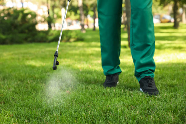 Best Pest Inspection Near Me  in Hillsboro, TX