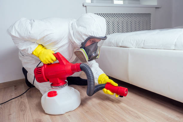 Best Pest Control Treatment  in Hillsboro, TX