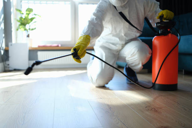 Trusted Hillsboro, TX Pest Control Experts