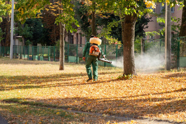 Best Commercial Pest Control Services  in Hillsboro, TX