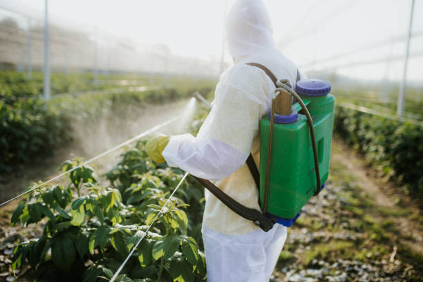 Best Cockroach Control Services  in Hillsboro, TX